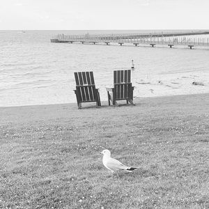 Meet your Posher, Sherri